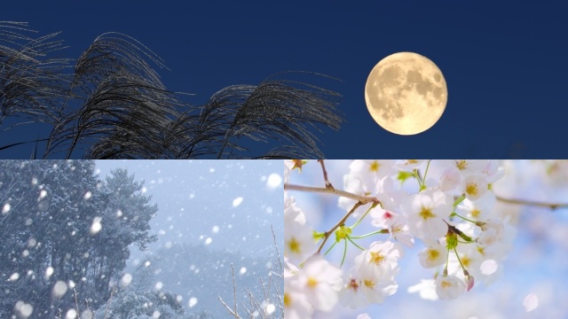 「3ka060v_月と雪・花 イメージ